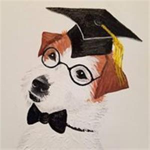 clever dog for windows