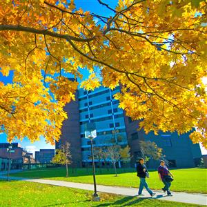 Department of Performance Studies Graduate Programs Open House