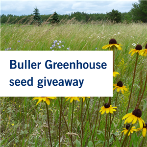 buller greenhouse (2).png