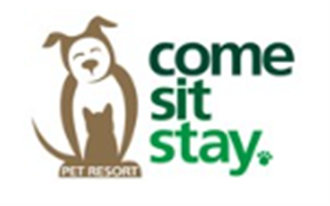 come sit stay pet resort