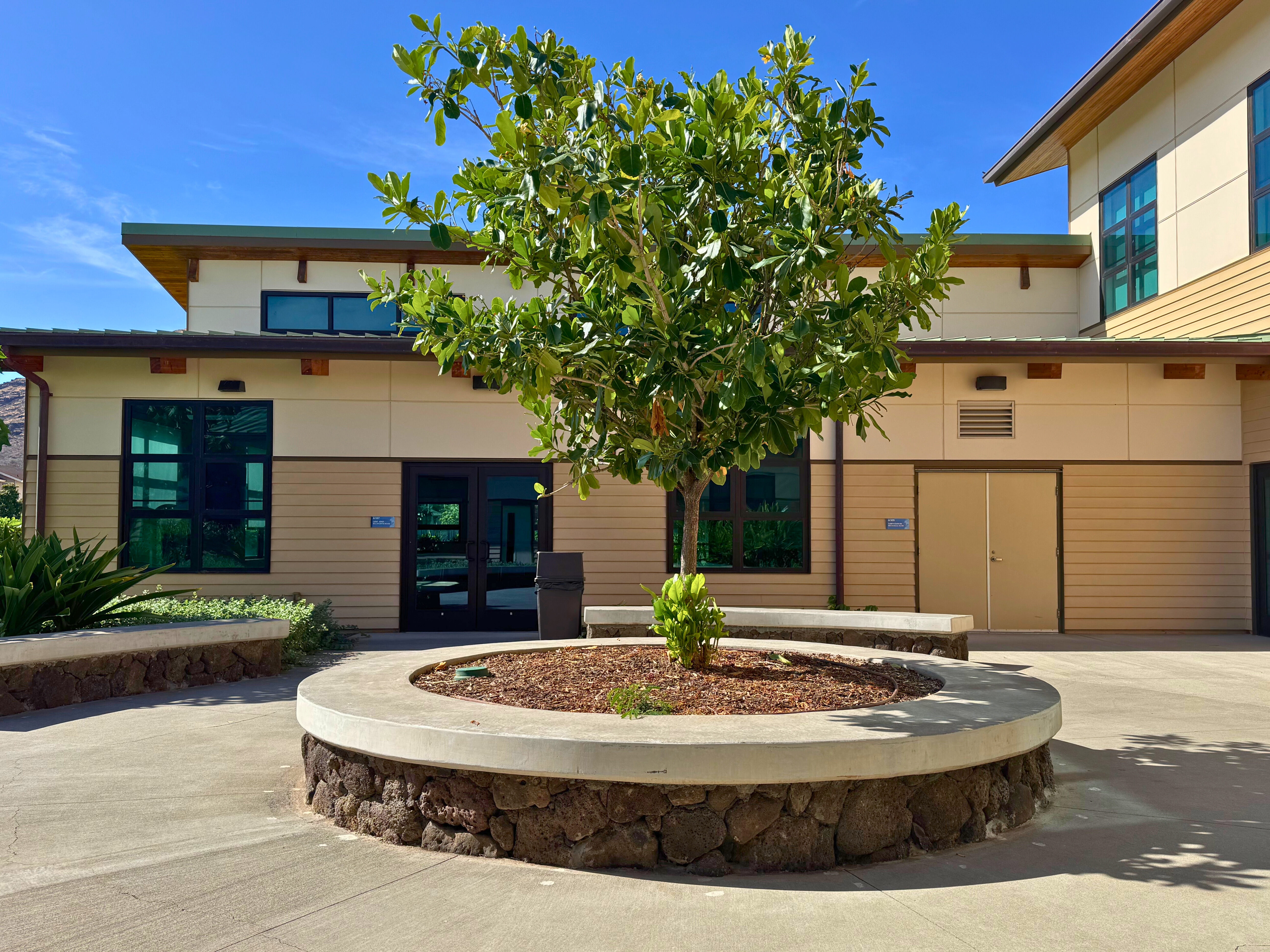 Image (5) - Edited.jpg