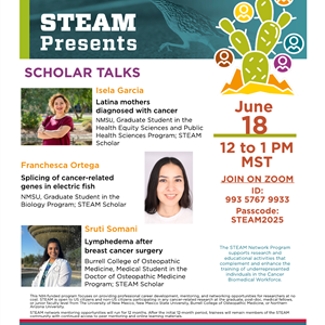 Image for: STEAM Webinar: Scholar Talks