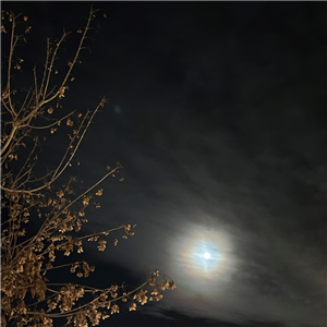 Friday Email Imagines (1 x 1 in) (7).png