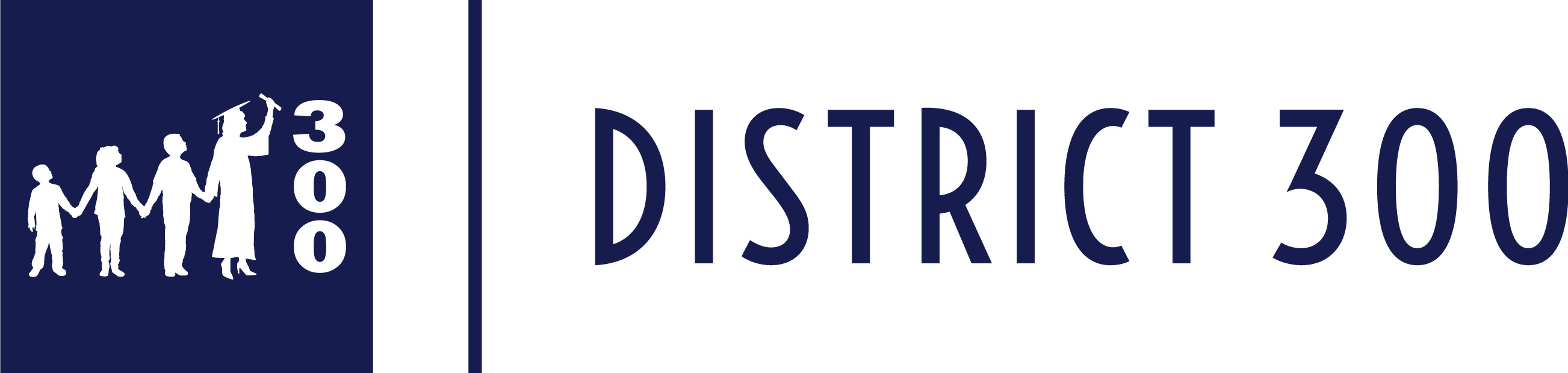 District 300