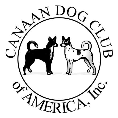 akc canaan dog